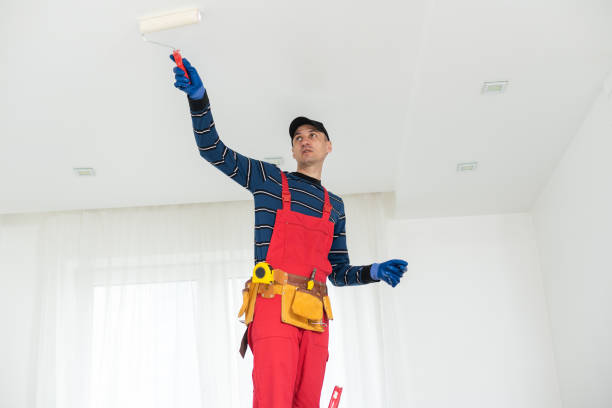 Best Trim and Molding Painting  in USA